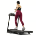 Беговая дорожка  Hop-Sport HS-1000LB Wind Grey - фото №6
